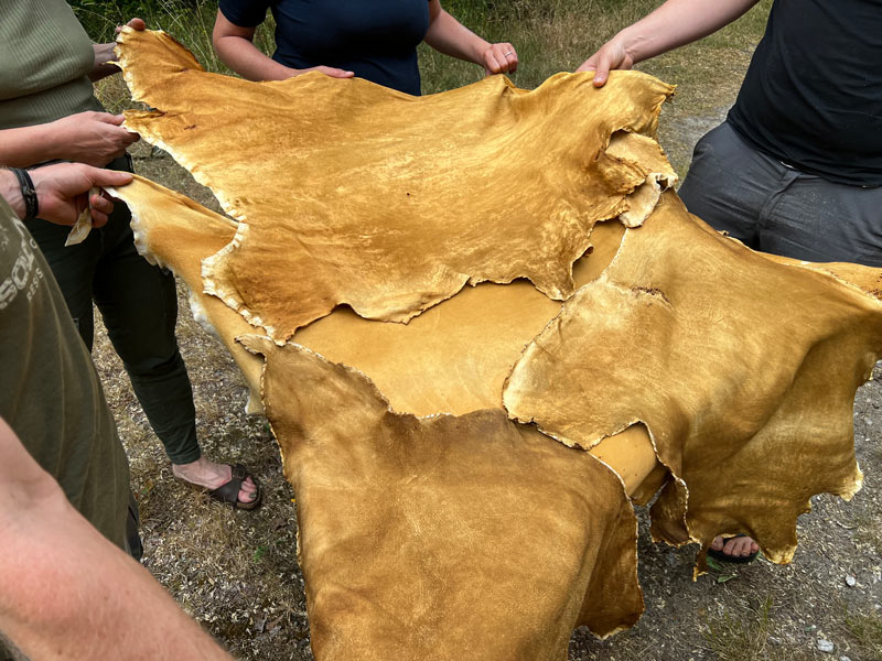 Menschen halten Tierhaut im Freien.