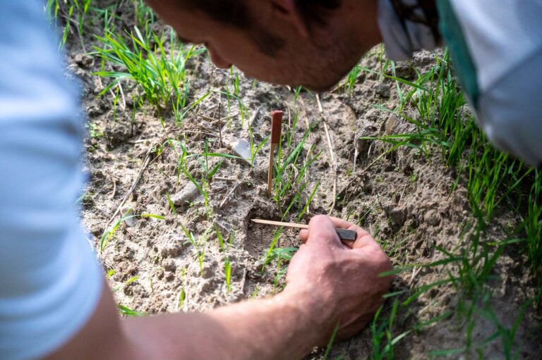 Person untersucht Boden im Garten