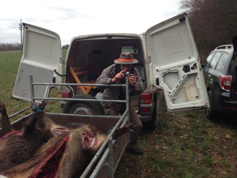 Jäger fotografiert Wildschweine im Anhänger vor Transporter.