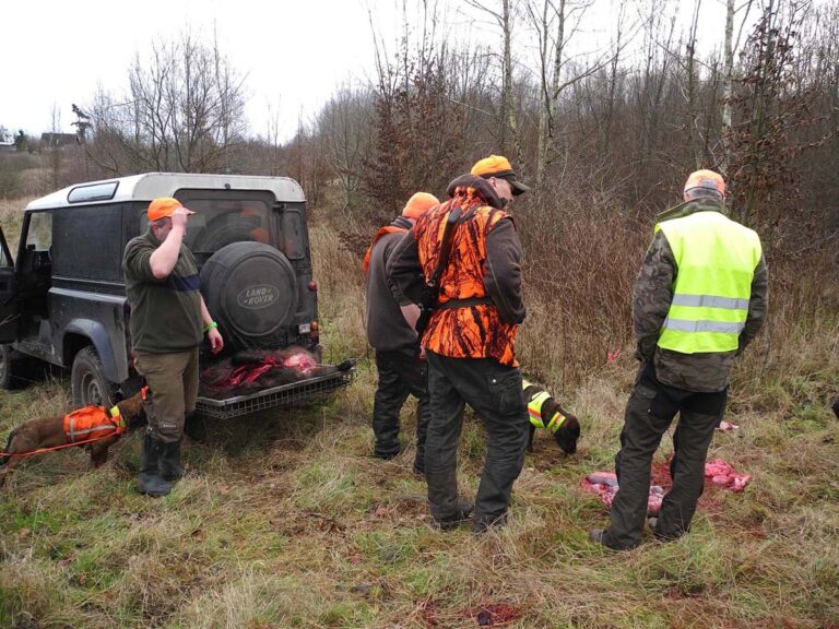 Jäger bei Jagdausflug im Wald mit Hunden.