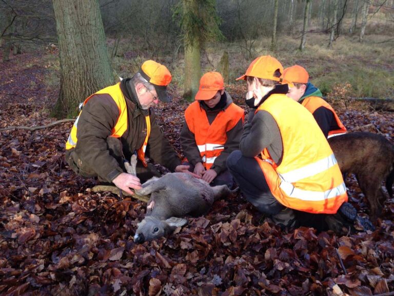 Jäger untersuchen erlegtes Wild im Wald.