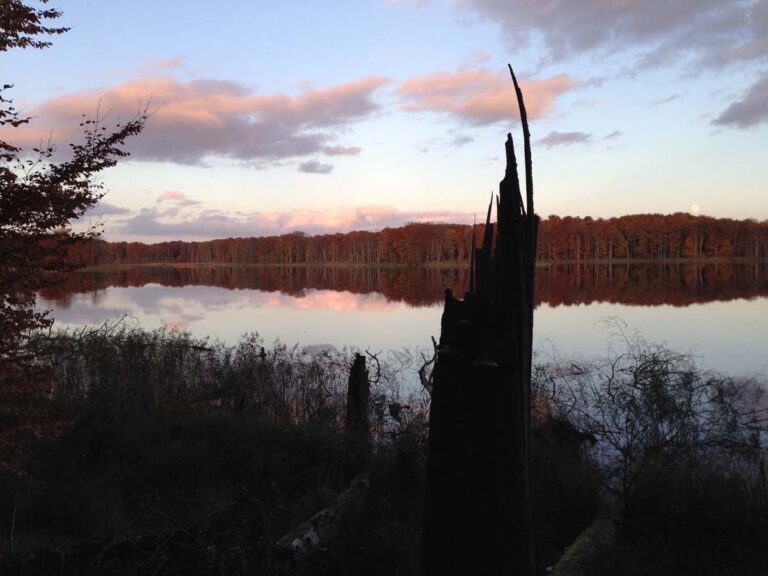 Herbstwald spiegelt sich im ruhigen See
