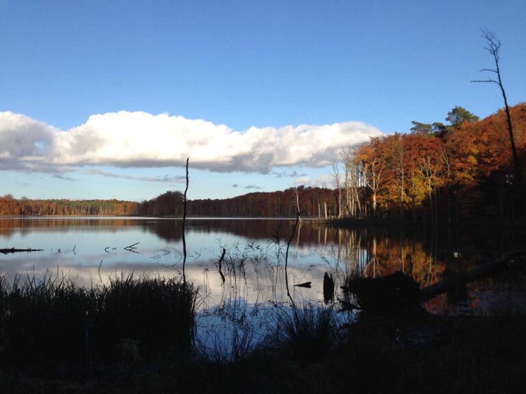 Herbstwald am See mit Spiegelung