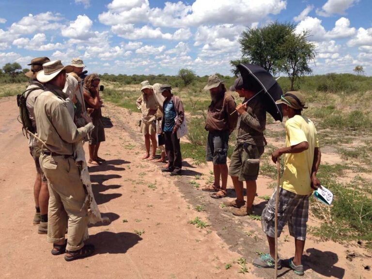 Gruppe in Wüste bei Sonnenschein versammelt