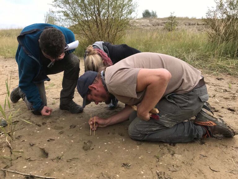 Menschen untersuchen Spuren im Freien.