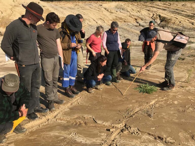Gruppe studiert Boden geologisch im Freien