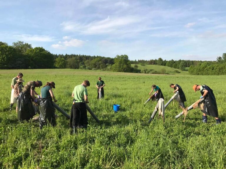 Menschen säubern ein Feld mit großem Gerät.