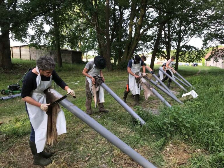 Menschen bearbeiten Tierhäute im Freien.