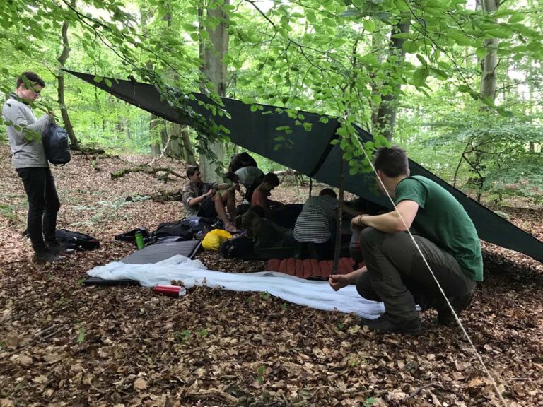 Personen unter Zelt im Wald