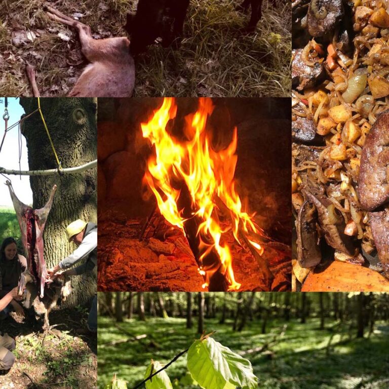 Jagd, Feuer, Waldszene und gebratenes Essen.