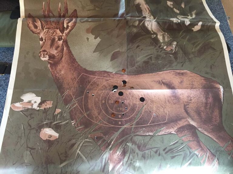 Zielscheibe mit Hirschmotiv und Trefferlöchern