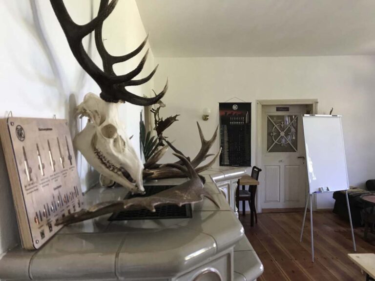 Hirschgeweih und Schädel im Raum auf Kamin.