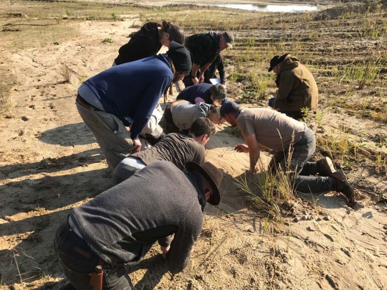 Menschen untersuchen Spuren im Sand