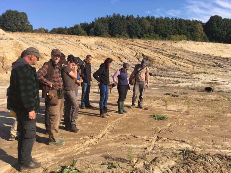 Personengruppe begutachtet freies Gelände bei Sonnenschein.