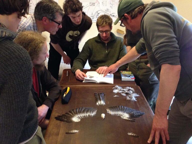 Gruppe studiert Vogelfedern an einem Tisch.