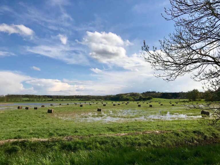 Grüne Wiese mit Heuballen und blauem Himmel