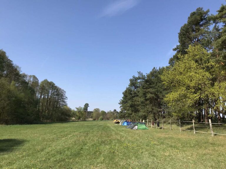 Zelte auf grüner Wiese neben Wald