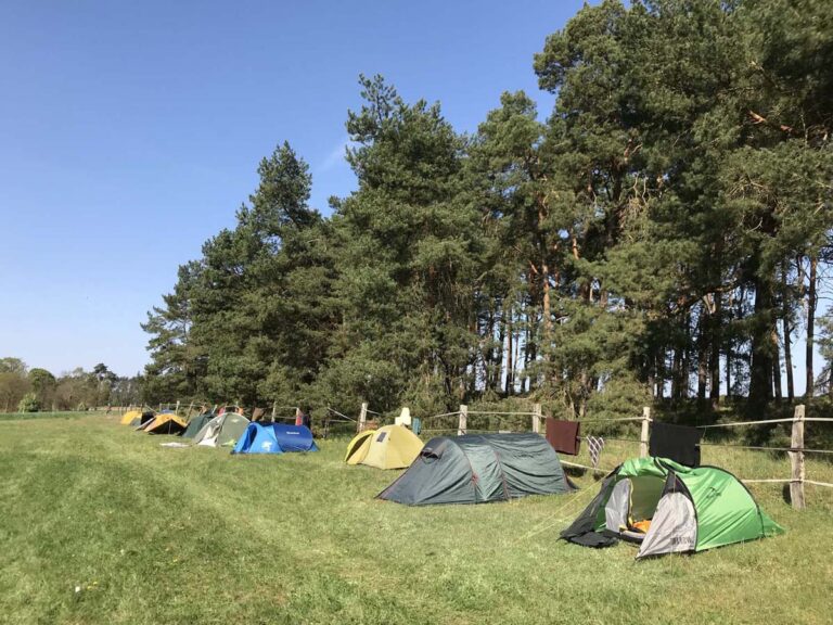 Zelte auf einer Wiese neben Bäumen