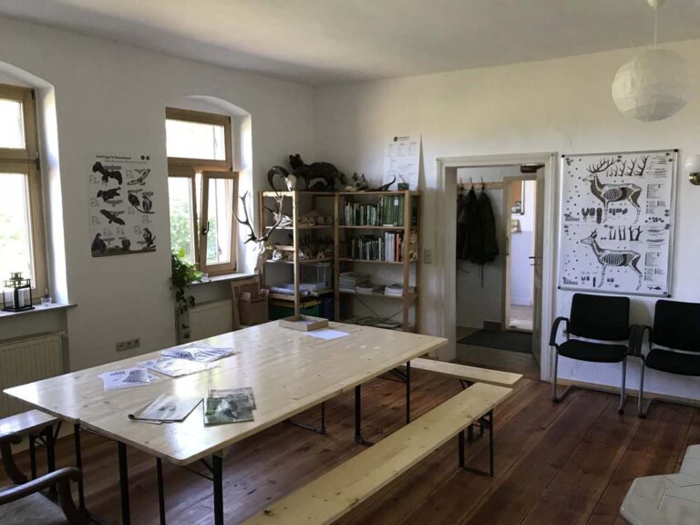 Klassenzimmer mit Tisch, Stühlen und Tierpostern.