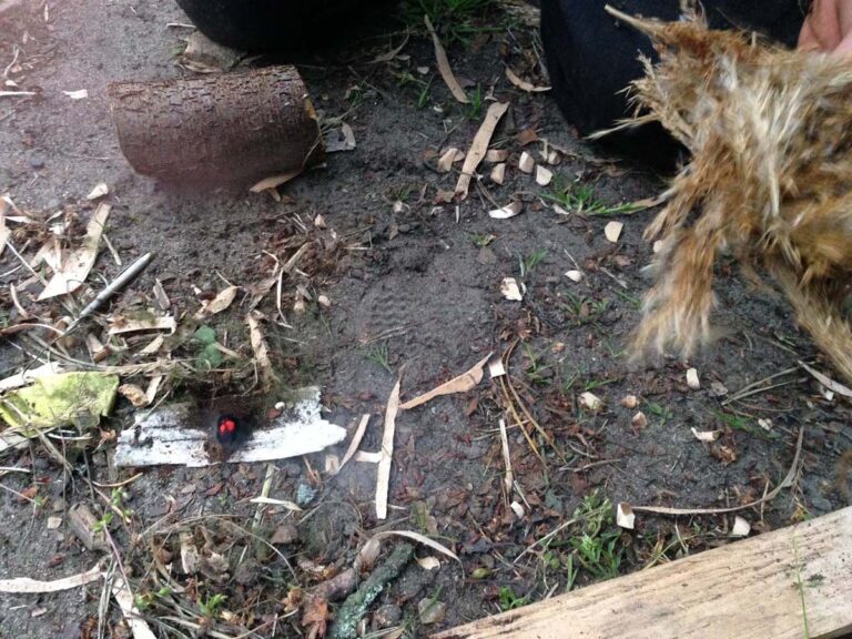 Holz und Feuerstelle im Wald