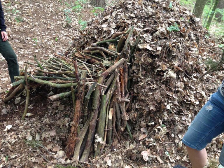 Ein Laubhaufen im Wald mit Holzstöcken.