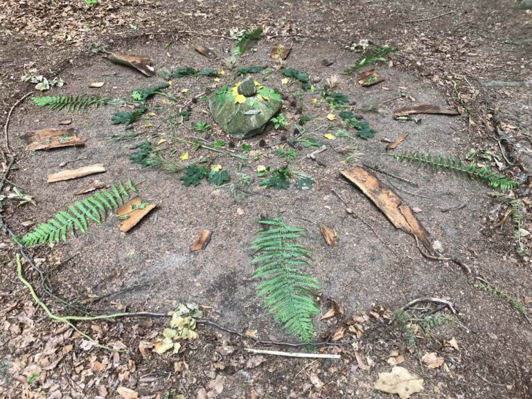 Naturmandala aus Blättern und Zweigen im Wald