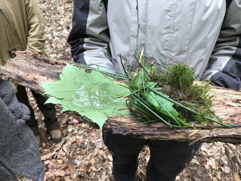 Naturmaterialien auf Holzbrett im Wald