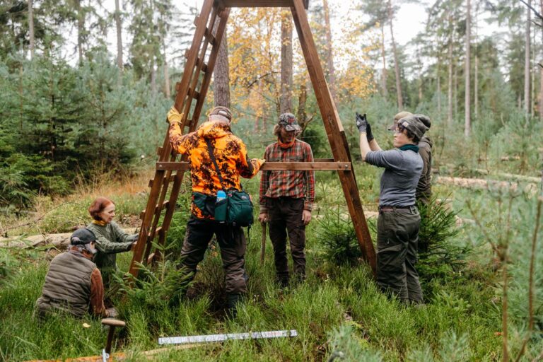 Gruppenarbeit im Wald, Leiteraufbau
