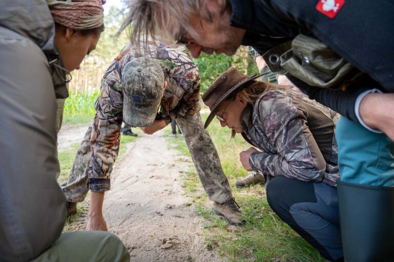 Gruppe untersucht Spuren auf einem Waldweg