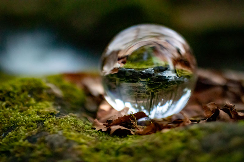 Glaskugel auf Moos und Blättern im Wald.
