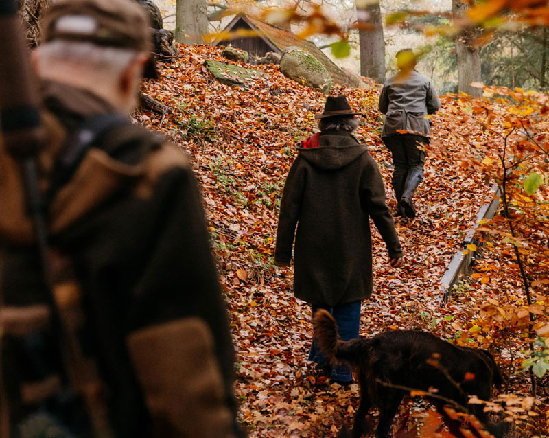 Personen und Hund wandern im Herbstwald