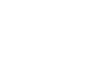 CyberTracker Level 2 Logo