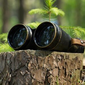 Fernglas auf Baumstumpf im Wald