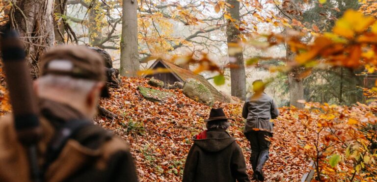Menschen wandern im herbstlichen Wald.