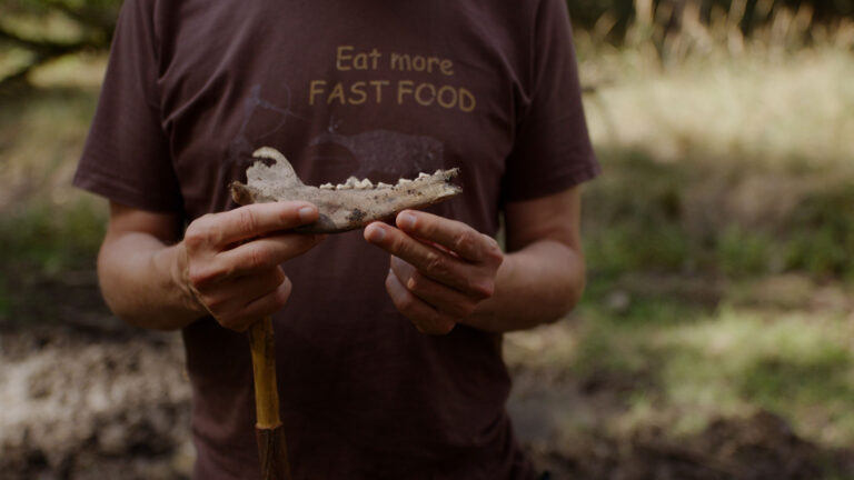 Person hält Kieferknochen im Wald