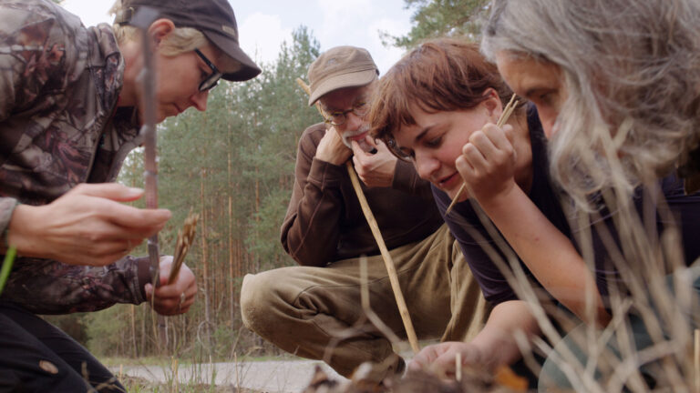 Personengruppe untersucht Waldpflanzen mit Stäben.