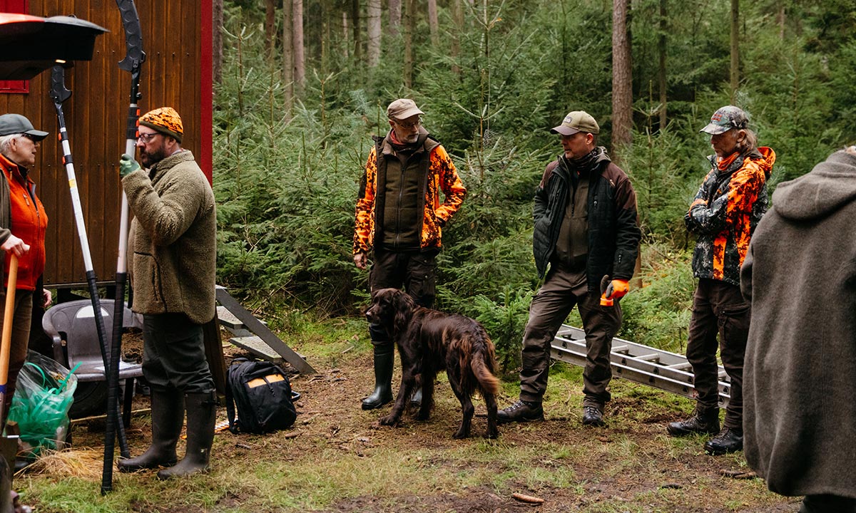 Menschen und Hund im Wald, Herbstszene