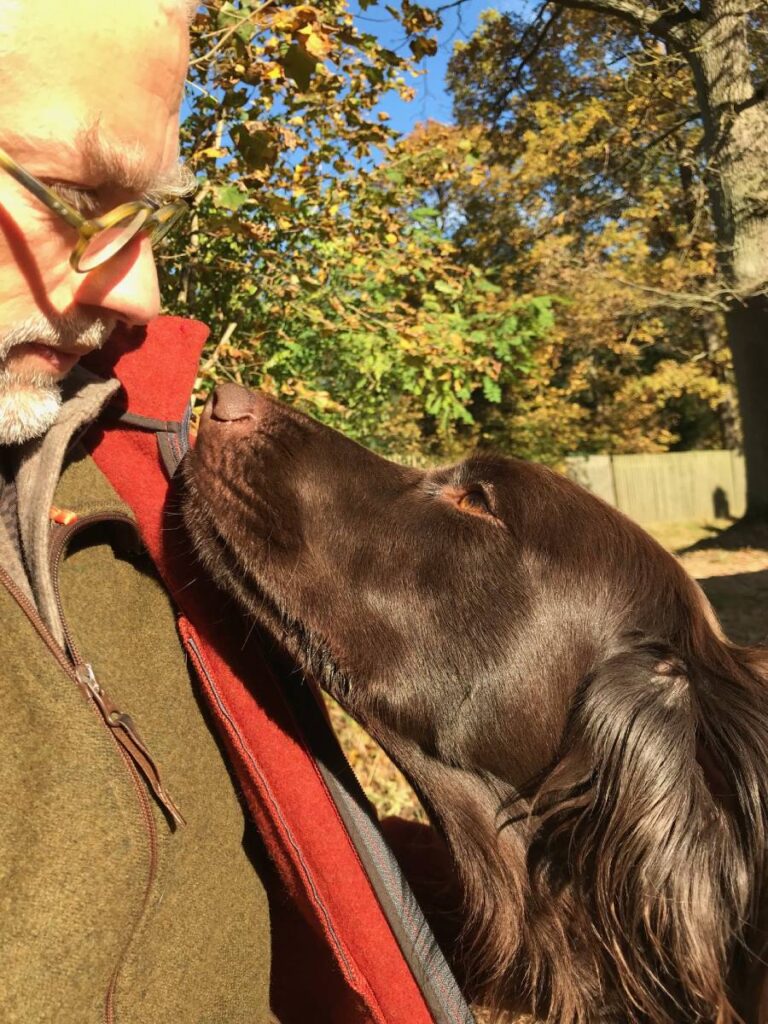 Mann und Hund in Herbstlandschaft kuscheln