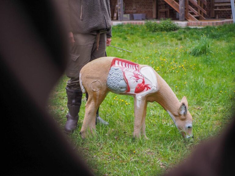 Tiermodell mit anatomischen Details im Freien