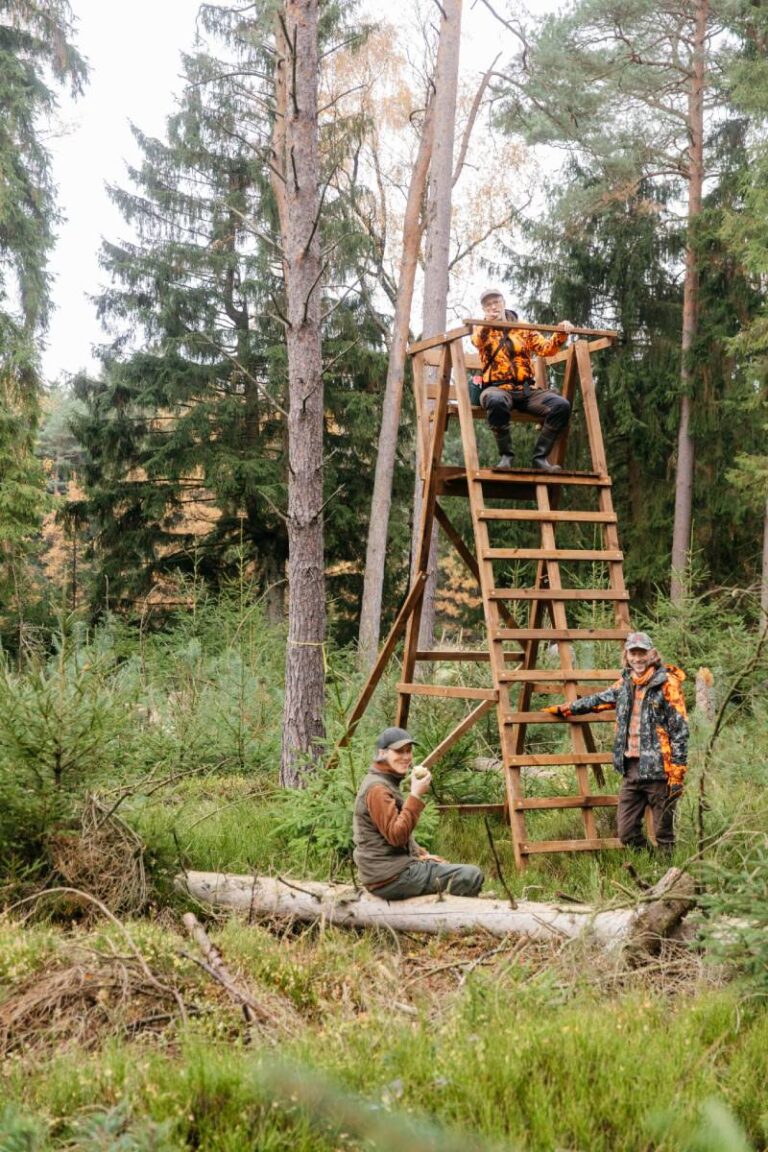 Jagdstand mit Personen im Wald