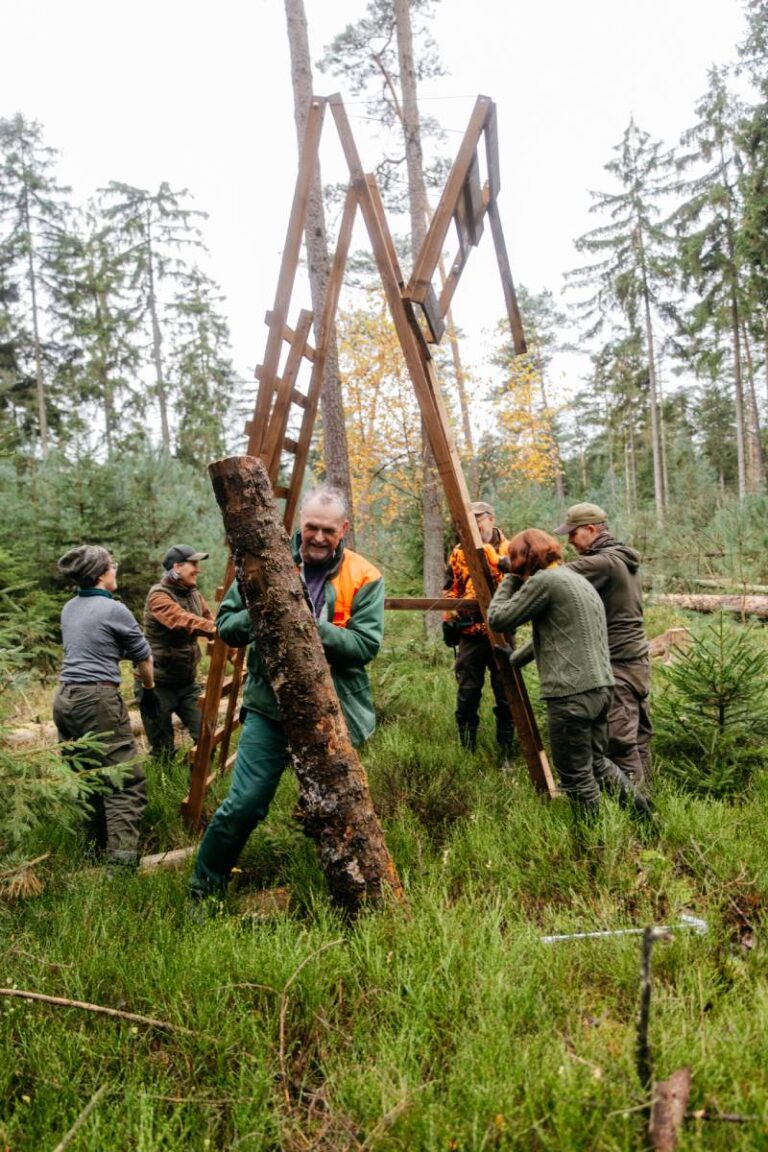 Menschen bauen mit Holz im Wald.