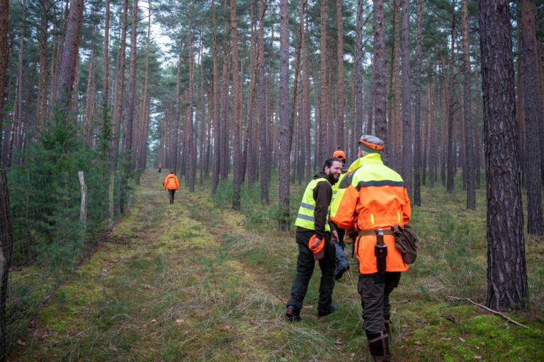 Personen in Sicherheitskleidung im Wald