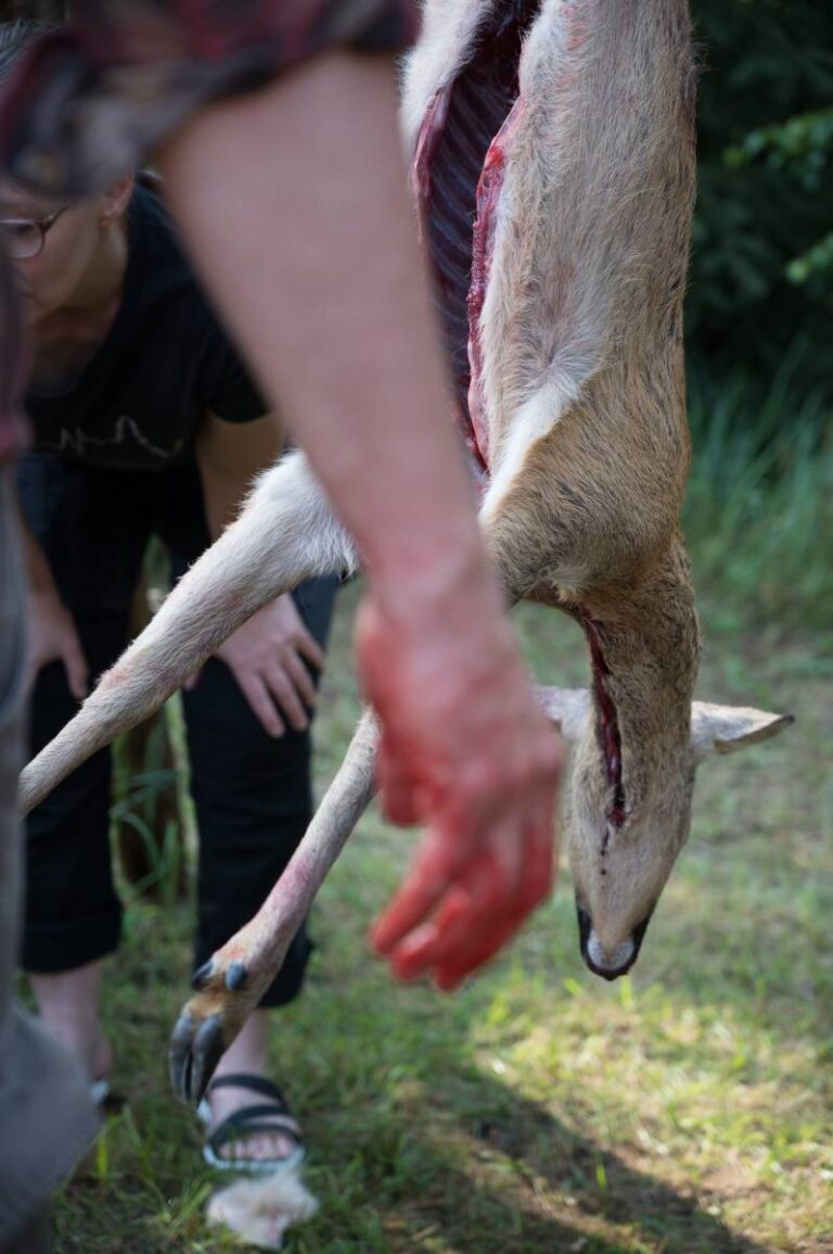 Blutige Hand vor ausgenommenem Reh
