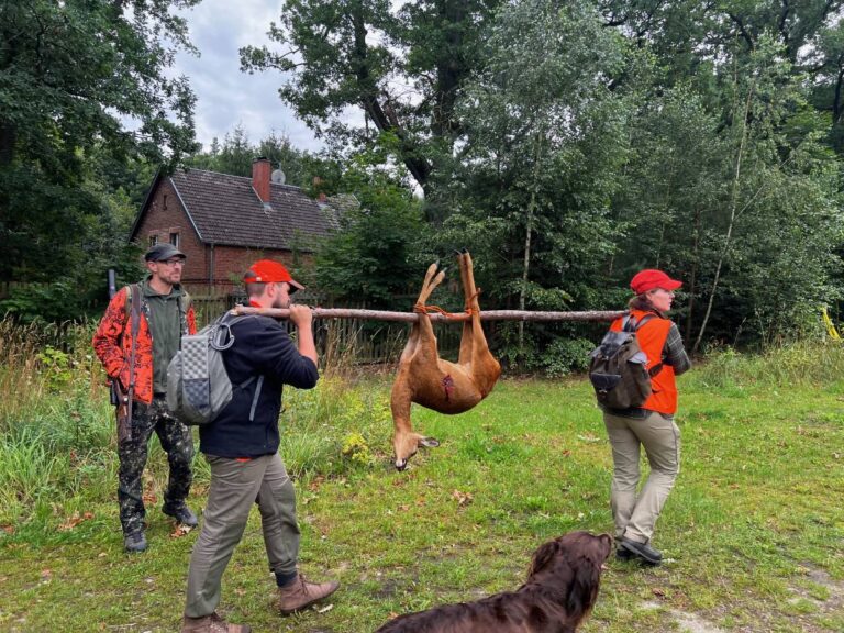 Jäger tragen erlegtes Wild in Waldgebiet.