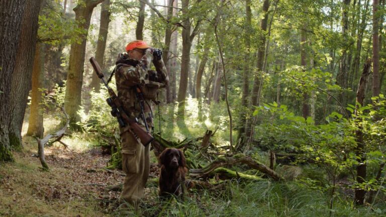 Jäger mit Hund im Wald, Fernglas nutzend