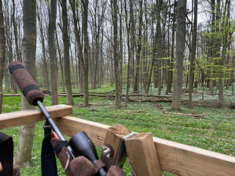 Waldansicht mit Hochsitz und Fernglas