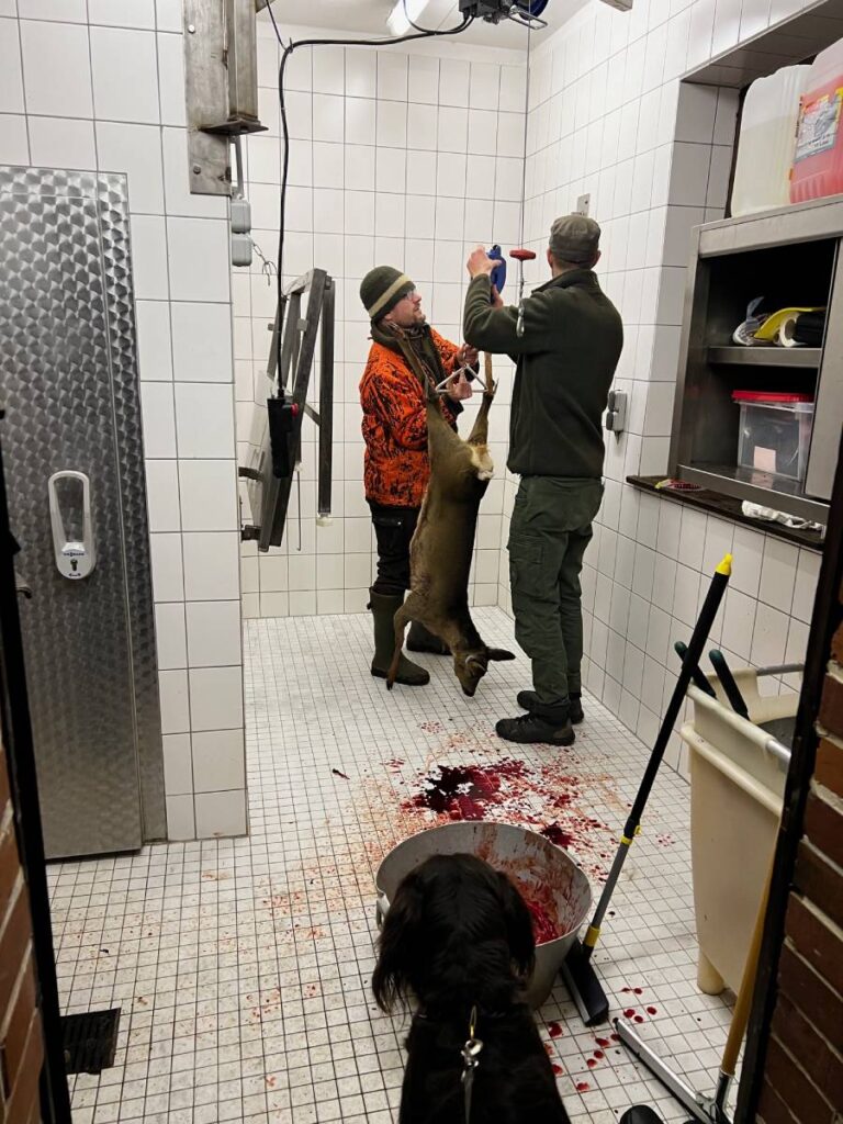 Jäger verarbeitet Hirsch in Schlachtraum, Hund beobachtet.