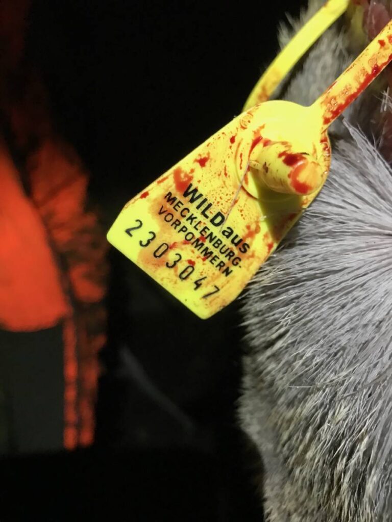 Gelber Anhänger mit Aufschrift und Nummer auf Fell.