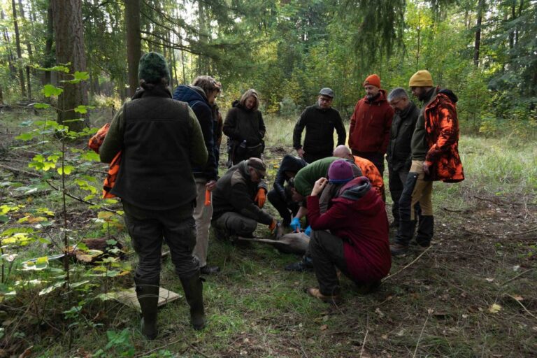 Gruppe bei Wildtier-Rettungsaktion im Wald