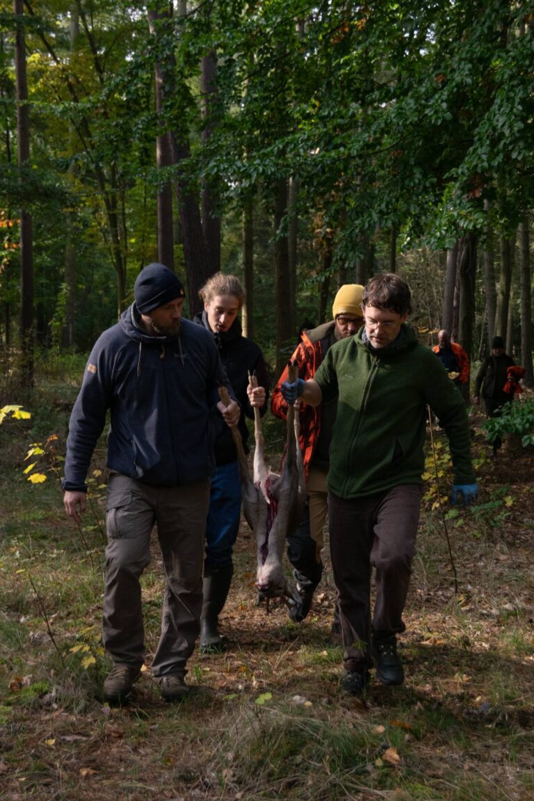 Gruppe trägt Wild in Wald